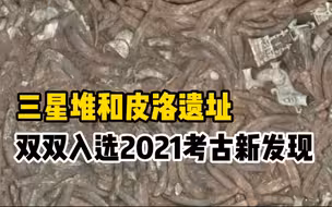 四川三星堆和皮洛遗址双双入选“2021年中国考古新发现”