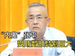“内鬼”张平，受贿数额特别巨大