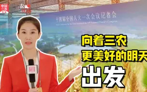 三农锐评丨向着三农更美好的明天，出发！