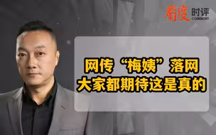 网传“梅姨”落网 大家都期待这是真的
