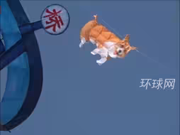 潍坊风筝节，“警犬福仔”缠上了“港珠澳大桥”