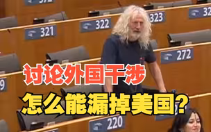 欧洲议会议员：讨论外国干涉  怎么能漏掉收买欧洲媒体的美国呢？