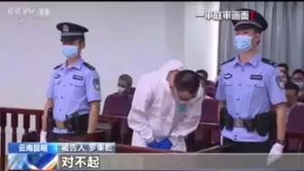 李心草案一审宣判，19日罗秉乾当庭认罪并向李母道歉