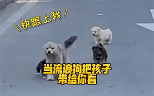 太有爱了！当流浪狗把孩子带给你看…狗狗跑来的时候，心都化了～