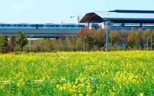 #来往春天的地铁 ！你知道这是哪一站吗？【编导：周雪涛】