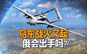 战火再起！首次出击就摧毁乌东武装榴弹炮：乌克兰这又是在挑事？