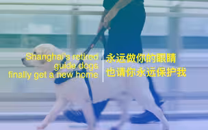 永远做你的眼睛，也请你永远保护我