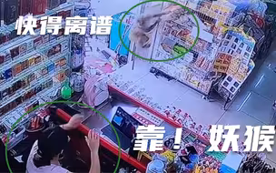 “呔！妖猴”这猴一天三劫超市得手就逃，快得离谱