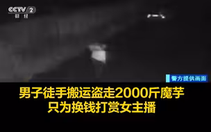 男子徒手搬运盗走2000斤魔芋，只为换钱打赏女主播