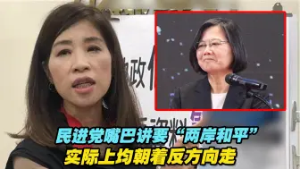 舒翠玲：民进党嘴巴讲要“两岸和平”，实际上均朝着反方向走
