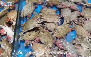 三亚海鲜餐饮协会回应50加价率倡议