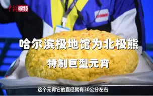 好家伙！北极熊也拥有巨型元宵了！