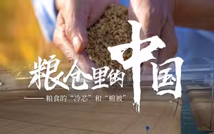 把粮仓打造成一台巨大“冰箱”？这项技术让每栋仓房节约30000斤粮食！