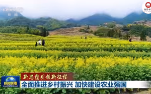 新思想引领新征程丨全面推进乡村振兴 加快建设农业强国
