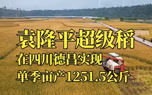 袁隆平超级稻在四川德昌实现单季亩产1251.5公斤
