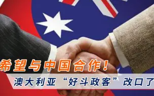 “好斗政客”改口了？澳大利亚新防长“秒变脸”：希望与中国合作