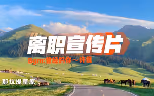 欢迎收看离职宣传片