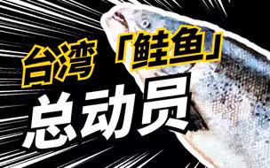 台湾“鲑鱼”总动员！