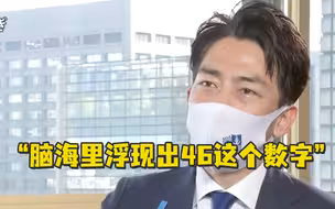 减排46%是怎么来的？日本环保大臣：脑海里浮现的