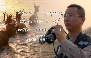 《最美守护人》纪录片第四辑：守护“湿地精灵”（上）