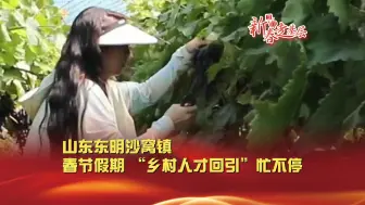 新春走基层丨春节假期  “乡村人才回引”忙不停