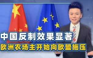 中国反制效果显著，欧洲农场主喊话赔钱，欧盟外长终于说了实话