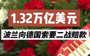 1.32万亿美元 波兰正式向德国索要二战赔款