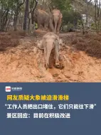 “工作人员把出口堵住，它们只能是硬着头皮往下滑”