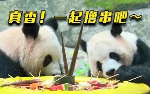大熊猫喝完早茶再撸串 日子舒适又惬意