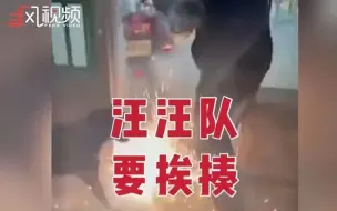 狗狗能有什么坏心眼，不就是把点燃的烟花叼进家门嘛
