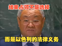 中国常驻联合国代表：结束占领不是选择，而是以色列的法律义务