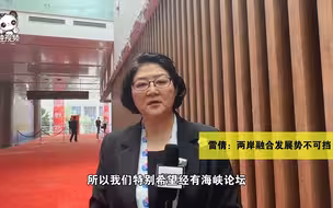 雷倩：两岸融合发展势不可挡
