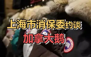 上海市消保委约谈加拿大鹅：12月2日中午前提交《更换条款》正式说明