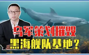 击沉莫斯科号后，乌军策划摧毁黑海舰队基地？俄紧急启动秘密武器