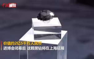 重达88克拉价值超2亿 “全球五大黑钻之一”参展进博会