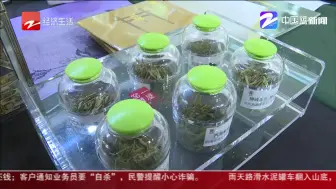 一起逛茶博：西湖龙井茶安装“千里眼”  数据上链可全流程溯源
