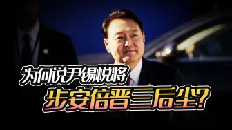 韩国最大在野党怒批尹锡悦，步安倍后尘很可能是最后结局