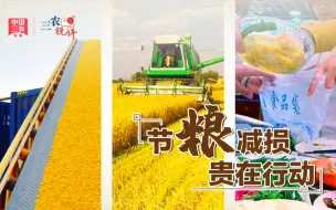 三农锐评丨节粮减损，贵在行动！