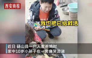 善良小暖男！过年杀鸡10岁男孩哭成泪人 姑姑：鸡没吃，让他埋了