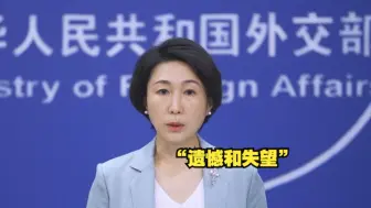 美国独家否决要求立即在加沙地带实施人道主义停火的安理会决议草案，外交部回应