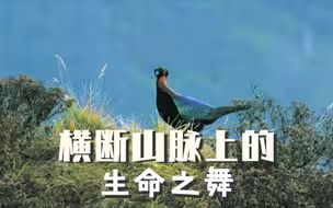 山水中国·春：横断山脉上的生命之舞