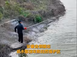 张八斤和他“随叫随到”的江豚宝宝