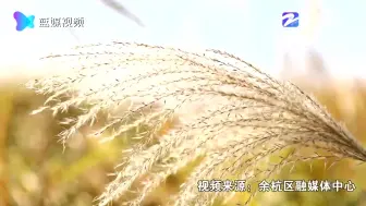 咦？杭州这个地方下“雪”了？