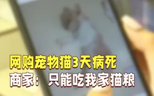 网购宠物猫，3天就病死了？商家：只能吃我家猫粮