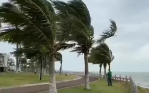二级预警！台风“浪卡”逼近海南：海边风大浪急，椰树被吹弯腰