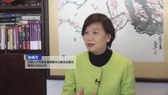 梁美芬：互联网不是《国歌条例》法外之地