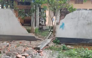 现场直击印度6.2级地震！建筑物的砖块散落一地，中国西藏有震感