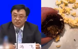 男子吃海胆蒸蛋没海胆还遭威胁？海南省长回应：将深入调查