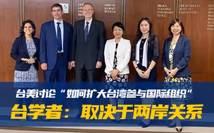 台美讨论“如何扩大台湾参与国际组织”，台学者：取决于两岸关系