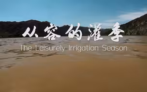 数字化技术让灌溉省水又省力